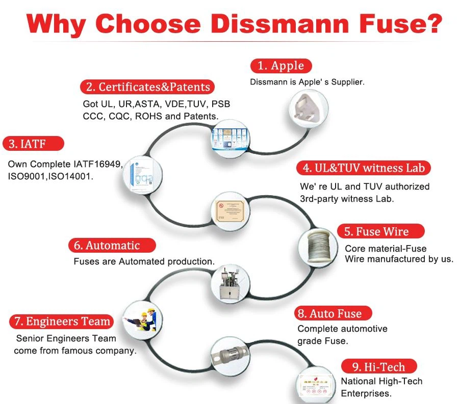 Shenzhen  Cervo  Elettronica  Co.,  Ltd